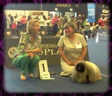 du prieuré aux comtes - WORLD DOG SHOW 2012