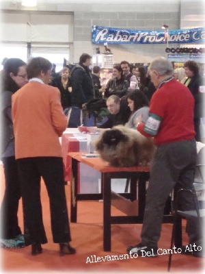 du prieuré aux comtes - EXPO.INTERNATIONALE DE PADOVA