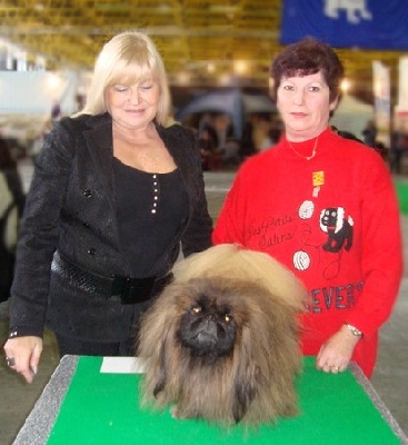 du prieuré aux comtes - BOB EURODOGSHOW...