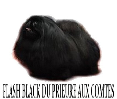 du prieuré aux comtes - SUPER WEEK END POUR FLASH BLACK!