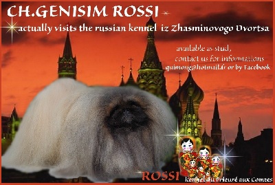 du prieuré aux comtes - CH.GENISIM ROSSI EN RUSSIE