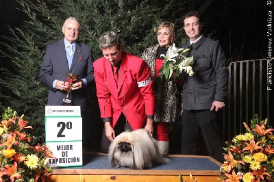 du prieuré aux comtes - CH.GAMIN DE PARIS, 4ième meilleur chien au chili!!!