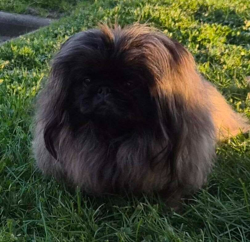 NATIONALE D ELEVAGE 2026