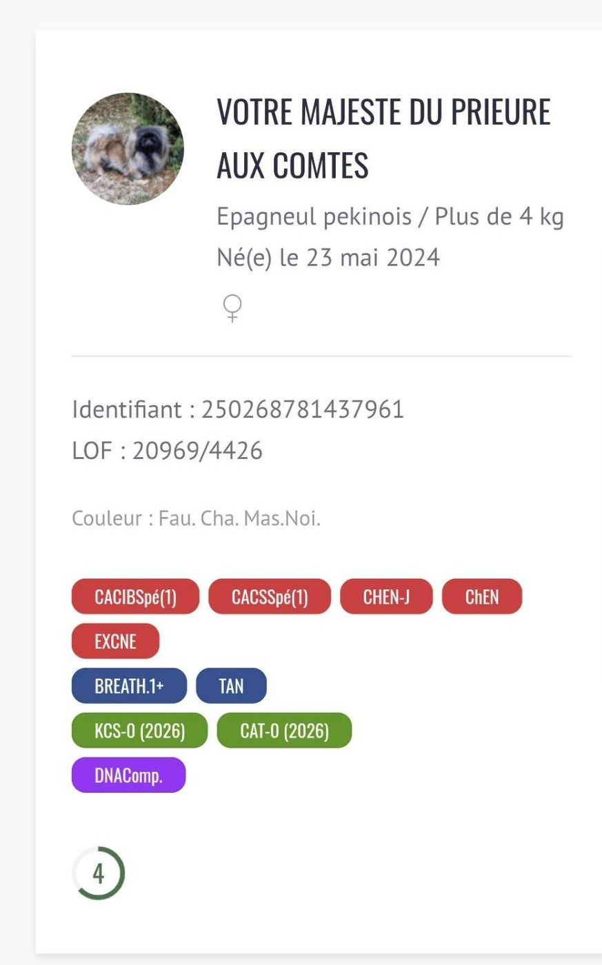 Une nouvelle championne!