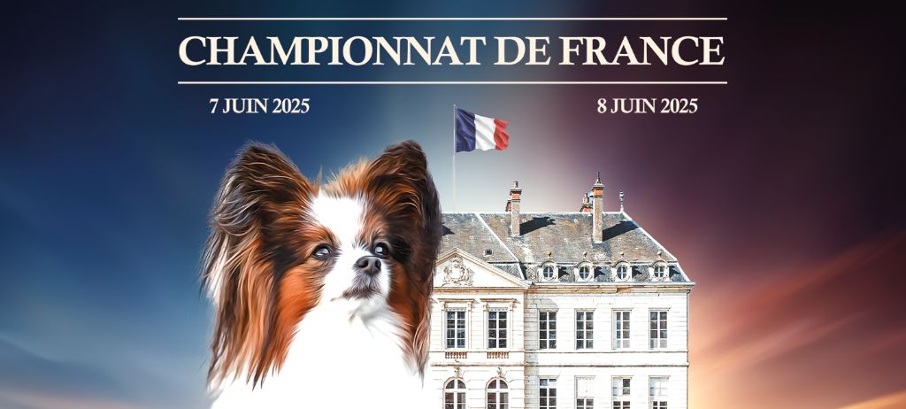 du prieuré aux comtes - CHAMPIONNAT DE FRANCE 2025
